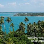 A pristine Indian beach with towering coconut trees casting long shadows on the soft golden sand, and the tranquil blue waves of the sea gently caressing the shoreline.