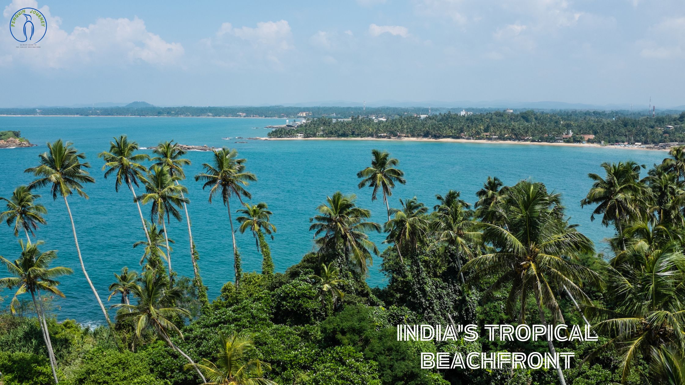 A pristine Indian beach with towering coconut trees casting long shadows on the soft golden sand, and the tranquil blue waves of the sea gently caressing the shoreline.